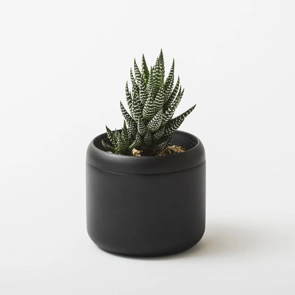 ［藤田金属］PLANT POT HACHI