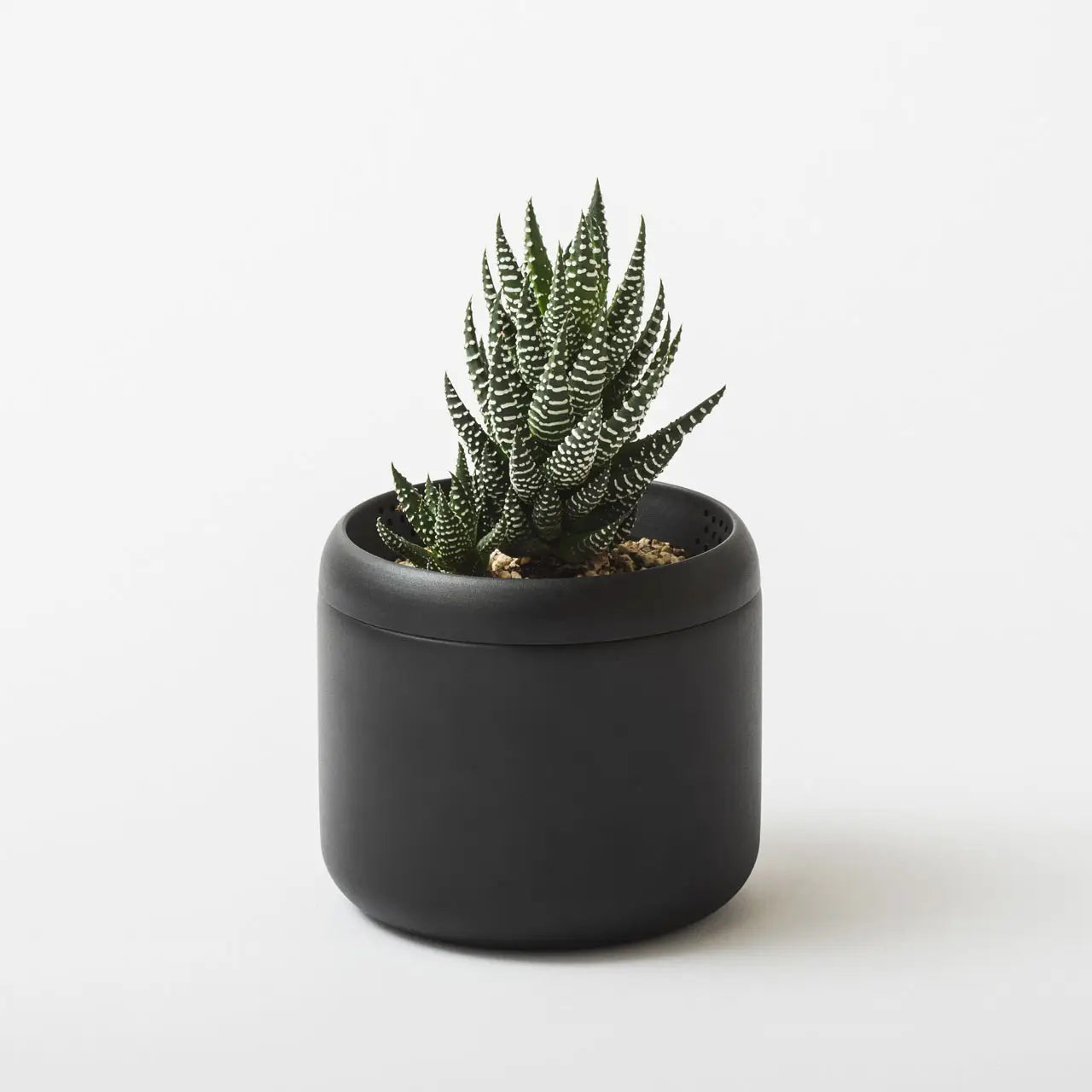 ［藤田金属］PLANT POT HACHI