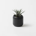 ［藤田金属］PLANT POT HACHI