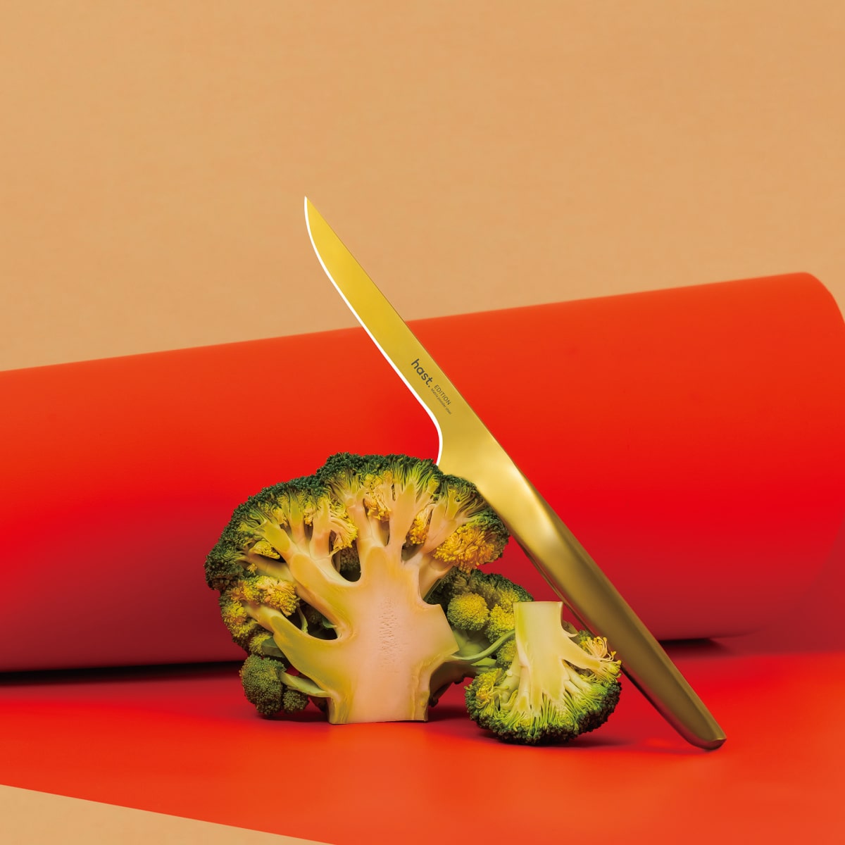 公式 hast. Design 】hast. エディション ボーニングナイフ – TSUMIKI